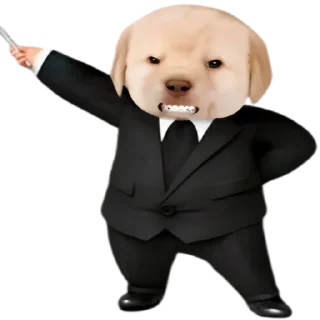 😎
