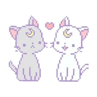🐈