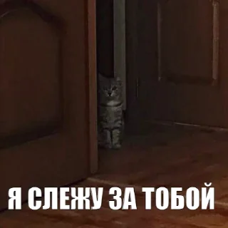 👁