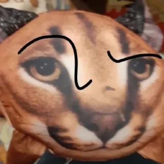 🤨