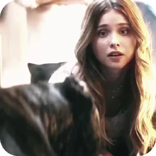 🌟