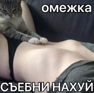 😎