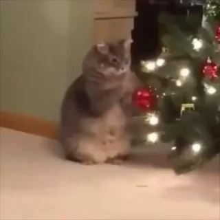 🎄