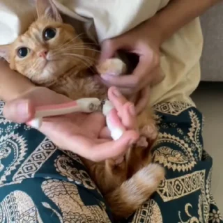 💅