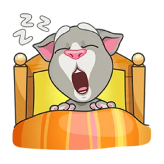 🛌