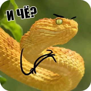 😏