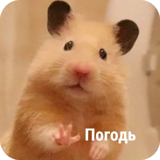 🤲