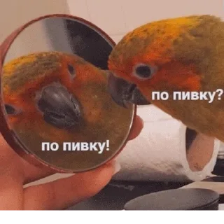 🍻