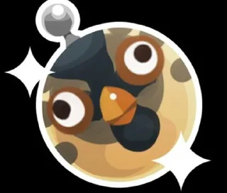 ⭐️