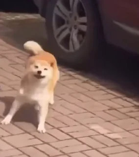 🥳