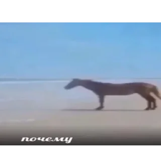 🤔