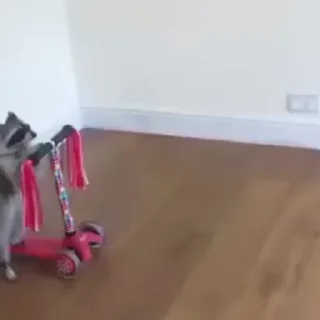 😁