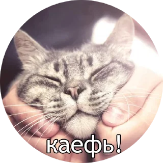 ☺️