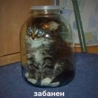 📦
