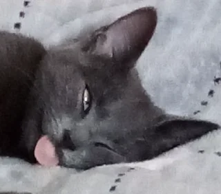 🤪