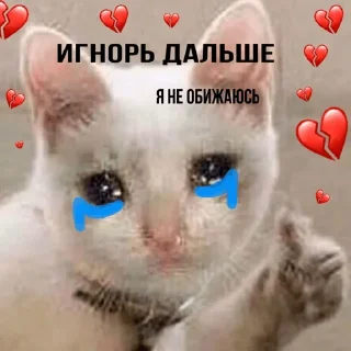 😭
