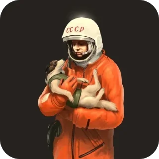 🚀