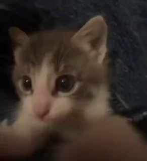 ❤