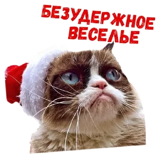 😕