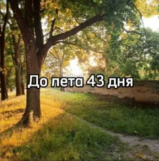 ☀️