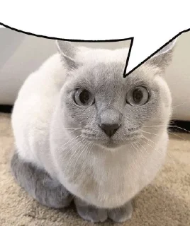 🥰