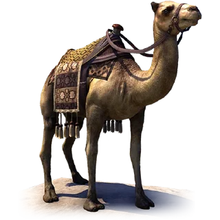 🐪