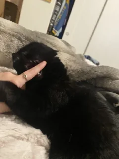 🤬