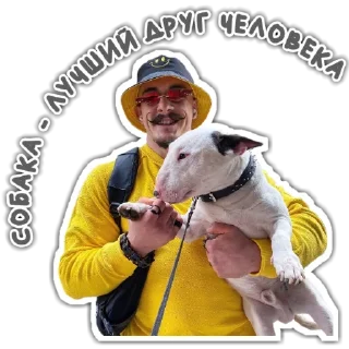 🐶