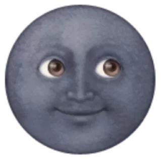 🌚