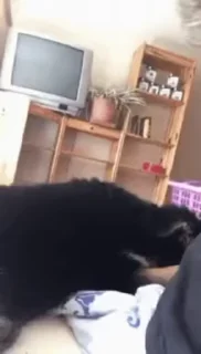 😆