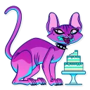 🍰