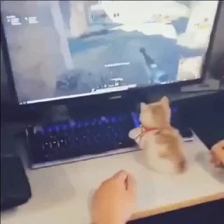 🎮