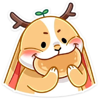 🍪