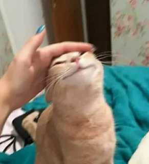 😍