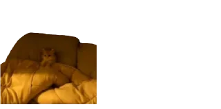 😴