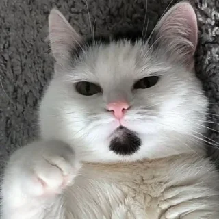 🤜