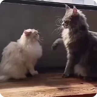 👍