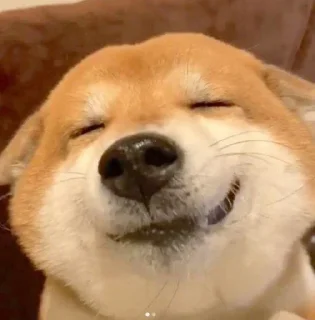 😌