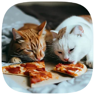 🍕