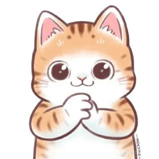🐱