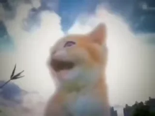 🌟