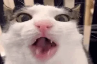 😋