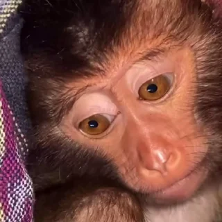 😵‍💫