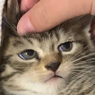 😐