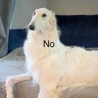 🙅‍♀
