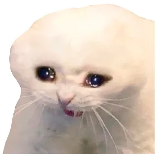 😭