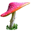 🍄