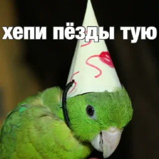 🥳