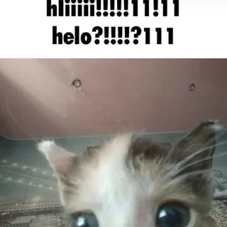 👋
