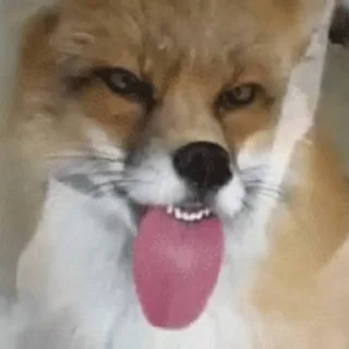 😛